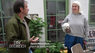 Das südliche Wien - Bittere Armut und Hochwasser