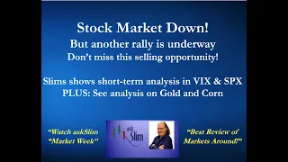 askSlim Market Week 01/20/23 - Analysis of Financial Markets