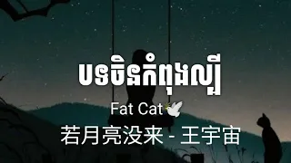 Fat Cat - 若月亮没来  - 王宇宙 😭💔 បទចិនកំពុងល្បី កម្សត់ខ្លាំងណាស់🕊️💔 (Lyrics) [Audio]