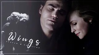 Stefan & Caroline | Wings