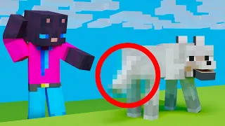 15 Secret Minecraft Things You Didn't Know