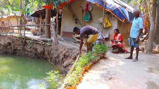 Fishing and cooking Telapia fish in tribal village style | village cooking review