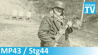 MP 43 (Stg 44) - Wunderwaffe końca Trzeciej Rzeszy