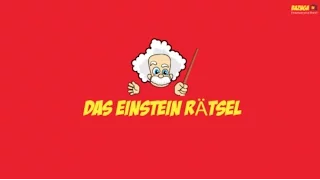 Das Einstein Rätsel