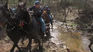 Advance on Manassas, March 2019