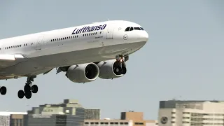 Lufthansa Airbus A340 600 close up landing at LAX | plane spotting lax