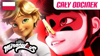 🐞 WONNA KSIĘŻNICZKA – Cały Odcinek [PO POLSKU] 🐾 | @Miraculous_Polish | Biedronka i Czarny Kot