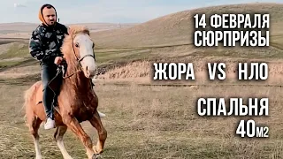 Сюрпризы на 14 февраля / Жора VS Нло / Водостойкий ламинат SPC StoneFloor