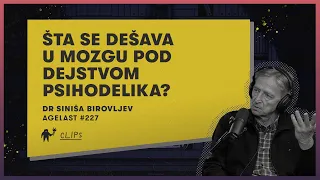 Teorije delovanja psihodelika – koncept „prediktivnog kodiranja”