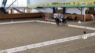 CCI1*/ Пандора-2014 / 68%