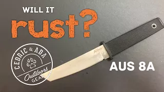 Will it rust? Stainless Steel Testing! AUS8, Carbon Steel, LC200N