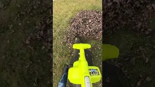 🍁Fall Leaves + Vacuum = SHREDDED FUN!