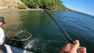 Jigging for Big Salmon in my favorite spot