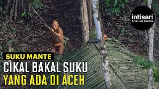 Misteri Suku Mante, Kelompok Manusia Kerdil Di Pedalaman Aceh