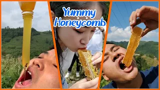 ABS Honey BEE | Best HoneyComb Eating ASMR | Eating Videos🎖️10