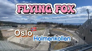 Norwegen🇳🇴Oslo❤️Flying Fox Holmenkollen#norway #oslo #flyingfox