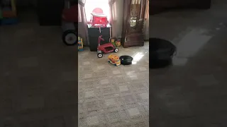 My roomba got caught playing on the job.