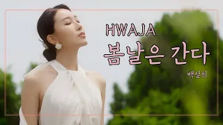 봄날은 간다 - 백설희 | 화자 (Hwaja) Cover.