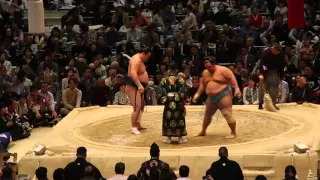 Torneo de Sumo en Osaka 2016 - Combate "Matayuki"