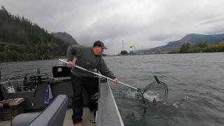 Salmon Fishing Above Bonneville Dam. Fish On!