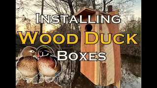 Building & Hanging Wood Duck Boxes | PART 1