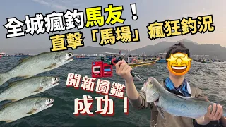 全城瘋釣馬友🐟！直擊「馬場🐎」瘋狂釣況！全員開新圖鑑成功🥳！#釣魚#香港釣魚#艇釣#馬友#船釣#青馬