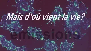 Mais d’où vient la vie ?