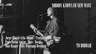 Nirvana - Nobody Knows I'm New Wave ** Studio Version ** (Cover by To Boddah)