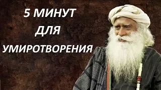 5 минут для умиротворения. Садхгуру на русском