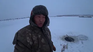 Первая проверка сеток после 24 часов! Якутия Yakutia