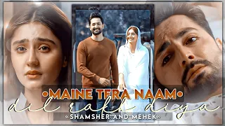 MAINE TERA NAAM DIL RAKH DIYA | •SHAMSHER AND MEHEK• | KAISI TERI KHUDGARZI | SAD VM EDIT |