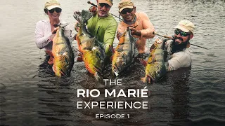 The Rio Marié Experience - Episode 1