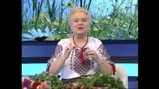 Наталя Земна - Відповіді на запитання. Частина 2, від 27.07.2014 - ЛОДТРК (м. Львів)