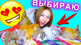 НОВЫЙ ПИТОМЕЦ КРОЛИК - ПОЕЗДКА В ПИТОМНИК ВЫБИРАЕМ КРОЛИКИ | Elli Di Pets