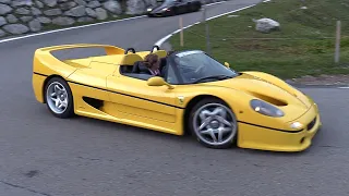 Ferrari F50 - Accelerations, Fly By's & Pure V12 Engine Sounds!