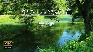 4K映像＋やさしい水の音  /  自然環境音