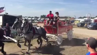 Runaway Six Horse Hitch at the Walworth Co Fair