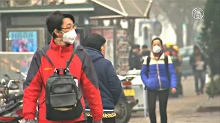 Густой смог в выходные снова накроет Пекин (новости)