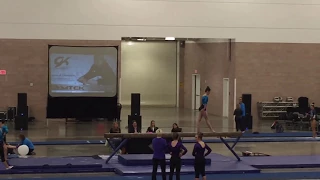 Beam, 2015 Texas Prime Invitational