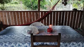 LIMPEZA DA COZINHA+ALIMENTANDO OS ANIMAIS E CHUVA CAINDO