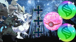 What If Kyurem, Reshiram, and Zekrom Had A Gigantamax and Mega🤩Evolution| RISINGPOKETUBER24|#pokemon