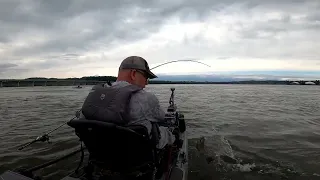 Susquehanna Smallmouth in May