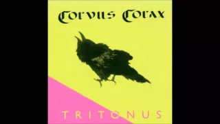 Corvus Corax - Saltarello (Live In Kaltenberg Juli 94)