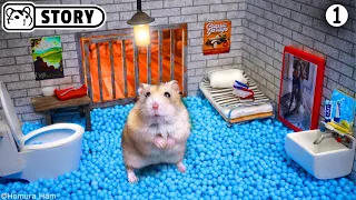 🐹 Hamster Escapes the Prison Maze for Pets in real life ep.1 🐹 Homura Ham