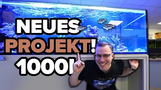 Neues 1000 LITER AQUARIUM - Lasst die Spiele beginnen... 🐠