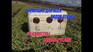 Кормушка из канистры своими руками!!! Быстро, дешево и сердито! Кормушка для ленивых