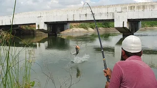 🎣incredible Fishing|Big Piranha Fish Catching🐟|Baam Fishing|Red bellied FishCatching|piranha Fishing