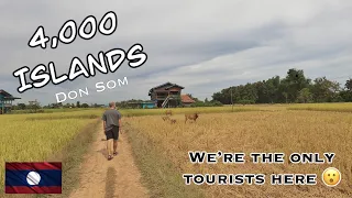 We were the only tourists here in rural Laos | 4000 islands | Laos Travel Vlog