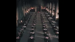 Фред и Джордж срывают экзамены С.О.В | Гарри Поттер и Орден Феникса