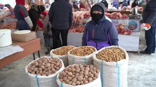 Сельскохозяйственная ярмарка проходит в Нур-Султане